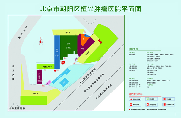 骚逼喜欢大鸡巴操视频北京市朝阳区桓兴肿瘤医院平面图